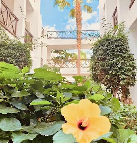 Appartamento Santiago Flat - Duplex